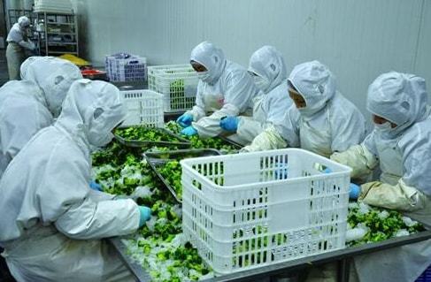 扶持家庭农场发力农产品初加工 新希望养猪成本有望降至16元助力初级农产品销售