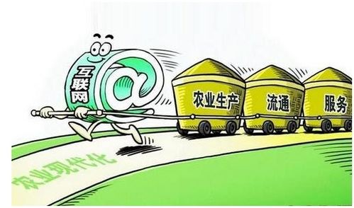 农村电商创业入门指南 初级农产品销售的关键要点