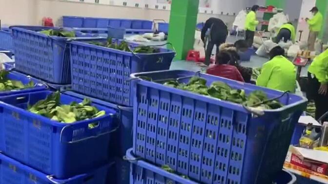 从田间到餐桌 初级农产品销售与配送体系的构建与优化