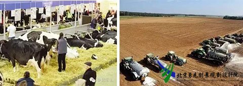 全球顶级农业典范 国际三大农庄模式解析与初级农产品销售启示