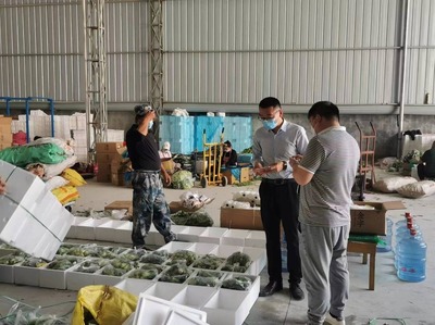 金乡第一书记 疫情下勇担双责，架起助农增收暖心桥