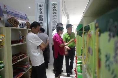 彭水赶场电商模式 初级农产品销售的热潮与启示