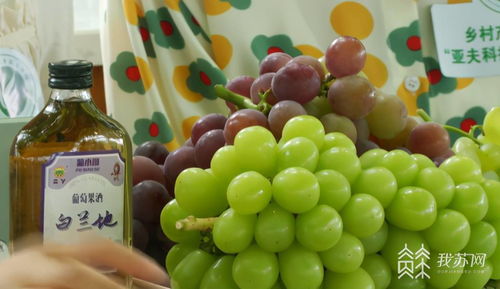 江苏推进农产品网络销售，助力秋季瓜果出村进城