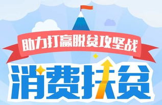 设立电商扶贫专卖店 解锁河南贫困地区农产品销售新路径